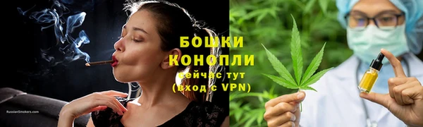 ГАЛЛЮЦИНОГЕННЫЕ ГРИБЫ Кодинск