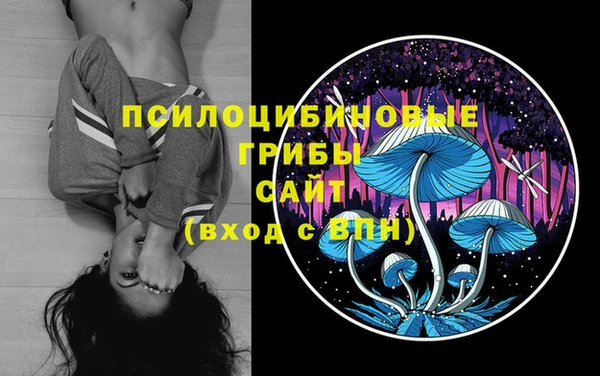 ГАЛЛЮЦИНОГЕННЫЕ ГРИБЫ Кодинск