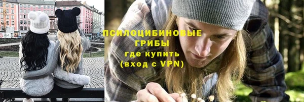 ГАЛЛЮЦИНОГЕННЫЕ ГРИБЫ Кодинск