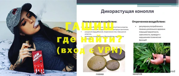 ГАЛЛЮЦИНОГЕННЫЕ ГРИБЫ Кодинск