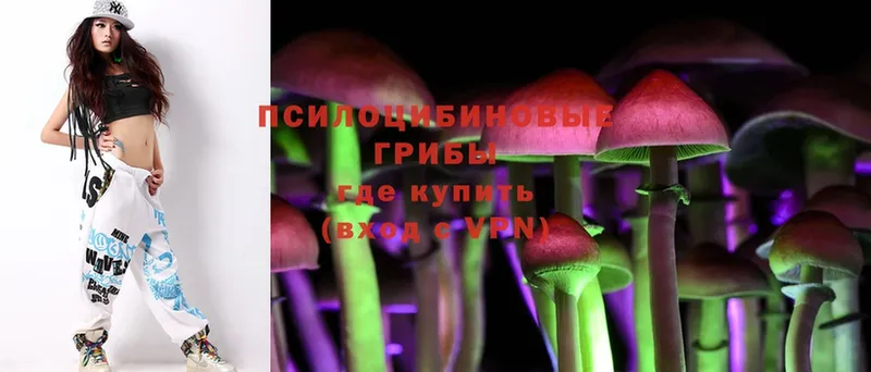 продажа наркотиков  kraken как войти  Галлюциногенные грибы MAGIC MUSHROOMS  Киржач 