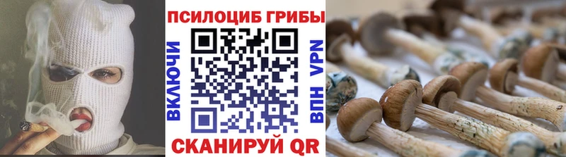 Галлюциногенные грибы Magic Shrooms  сайты даркнета состав  Киржач 