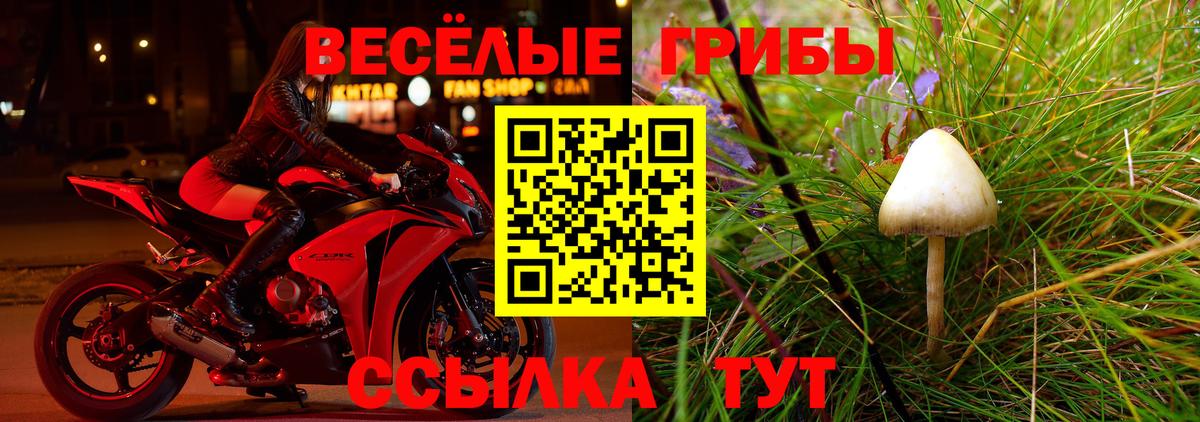 Киржач  Псилоцибиновые грибы мицелий  Вход с VPN 